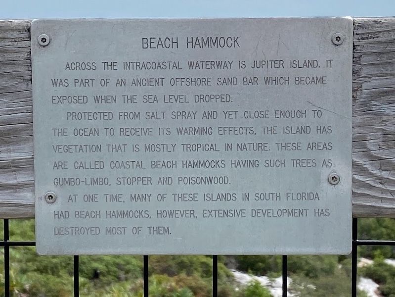 Beach Hammock Marker image. Click for full size.