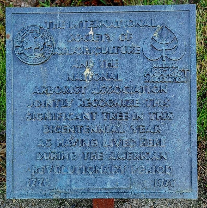 Bicentennial Tree Marker image. Click for full size.