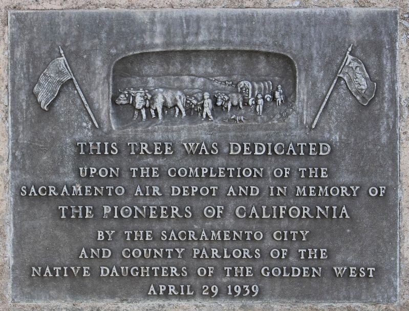 Dedicated Tree image. Click for full size.
