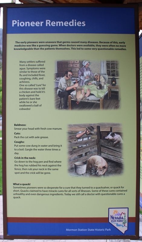 Pioneer Remedies image. Click for full size.