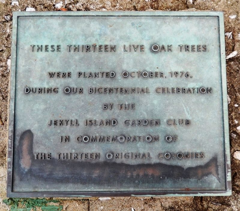 These Thirteen Live Oak Trees Marker image. Click for full size.