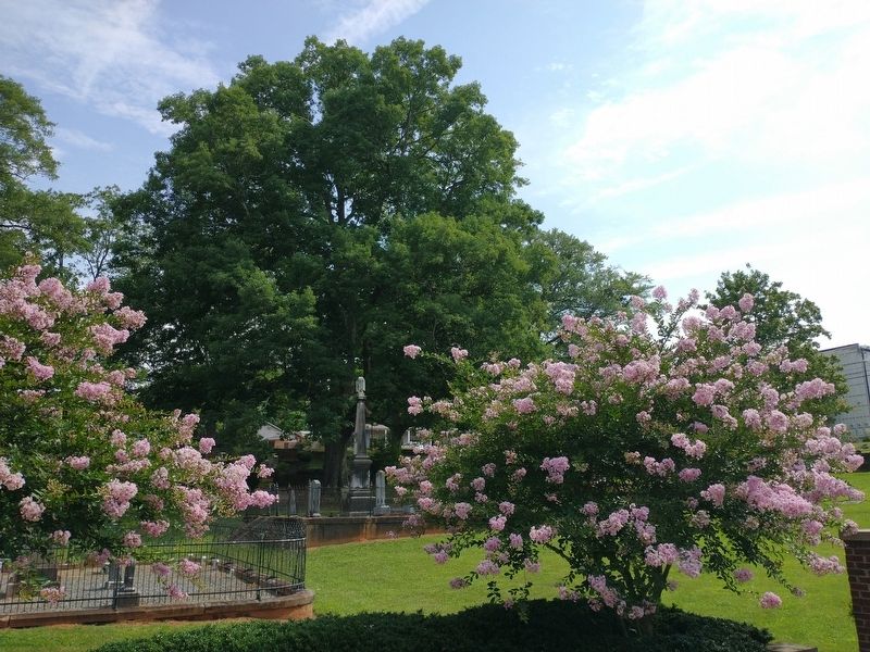 Presbyterian Church Cemetery. Click for full size. Presbyterian Church Cemetery image. Click for full size.