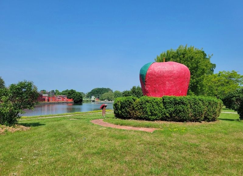 "The Big Apple". Click for full size. "The Big Apple" image. Click for full size.