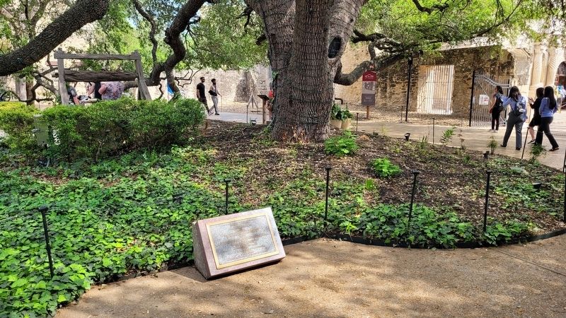 The view of the Marker north of the the Alamo near the Long Barracks. Click for full size. The view of the Marker north of the the Alamo near the Long Barracks image. Click for full size.