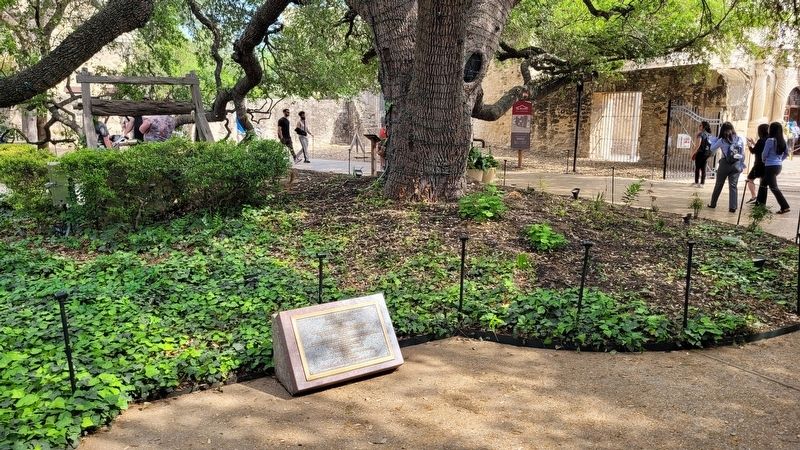 The view of the Marker north of the the Alamo near the Long Barracks image. Click for full size.