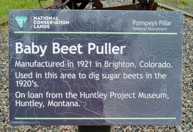 Baby Beet Puller image. Click for full size.