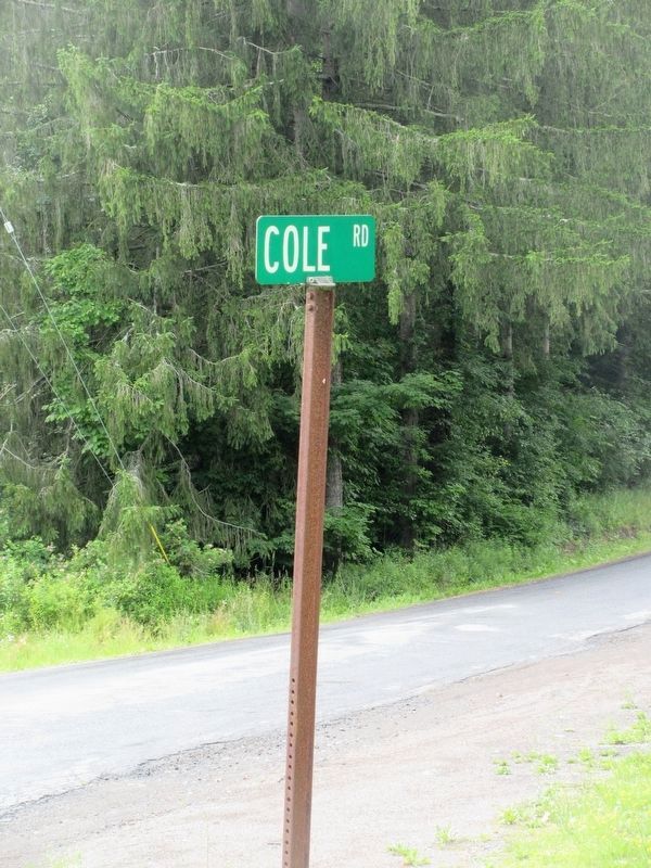 Cole Road sign image. Click for full size.