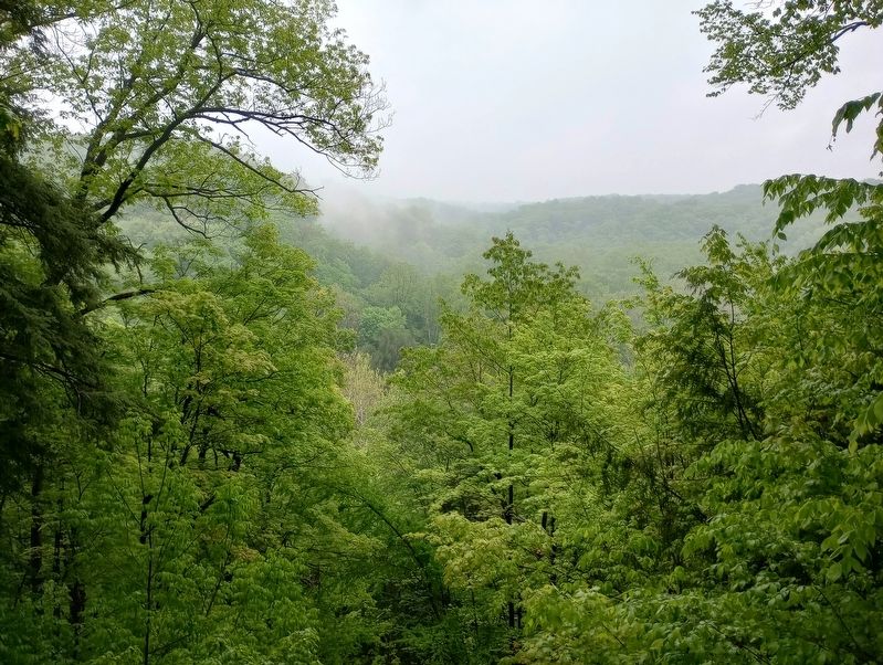 Tinkers Creek Gorge Scenic Overlook image. Click for full size.