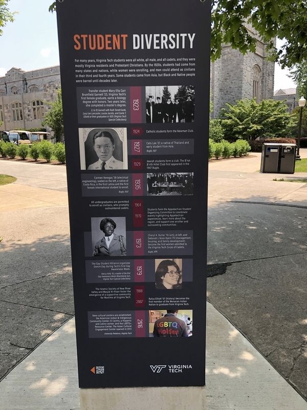 Student Diversity Marker, Side One image. Click for full size.