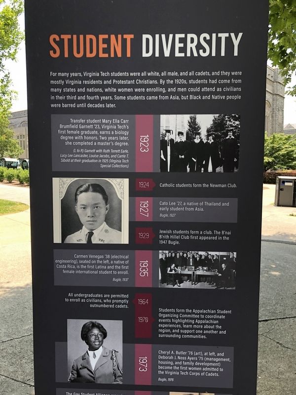 Student Diversity Marker Side One closeup image. Click for full size.