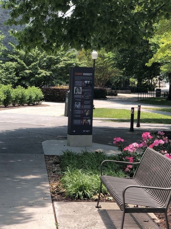 Student Diversity Marker image. Click for full size.