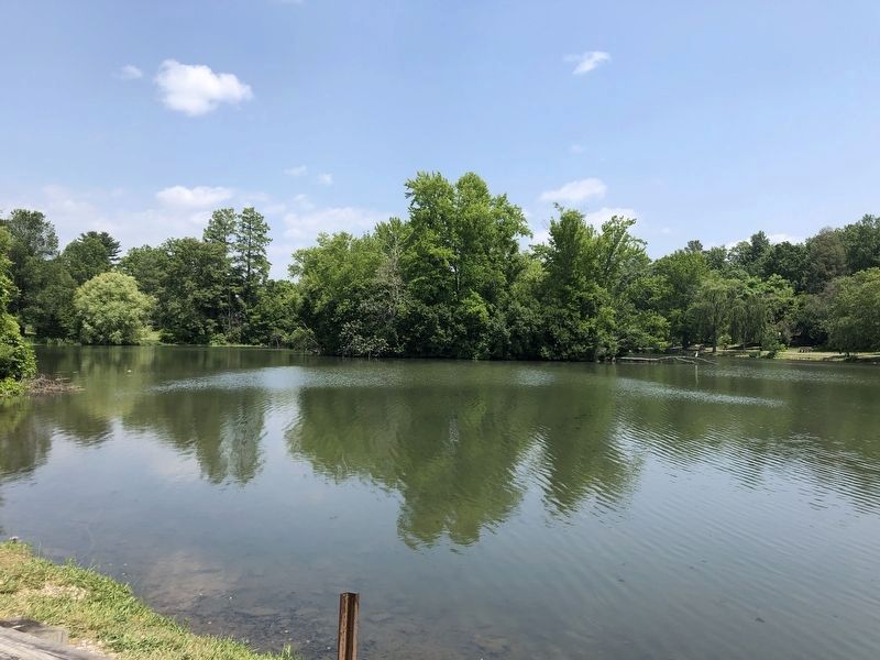 The "Duck Pond" image. Click for full size.