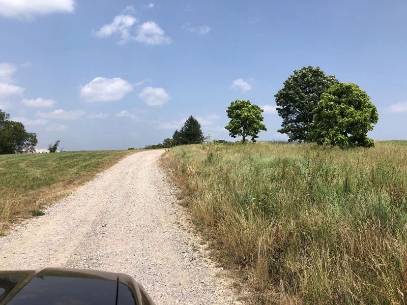 Area of marker's original location on old Southgate Drive. image. Click for full size.