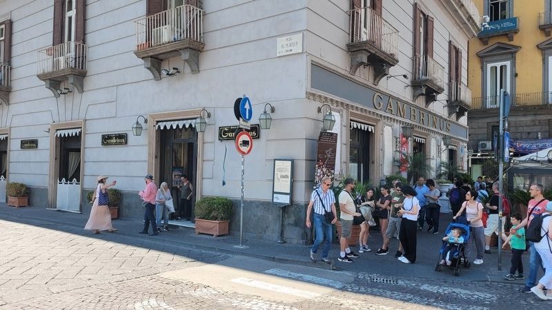 The view of the Salerno and Gambrinus Palace Marker from across the street image. Click for full size.