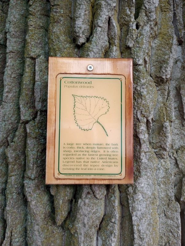 Cottonwood Marker. Click for full size. Cottonwood Marker image. Click for full size.