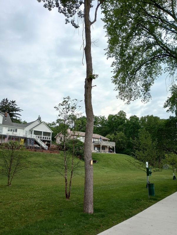 Ohio Buckeye Marker. Click for full size. Ohio Buckeye Marker image. Click for full size.
