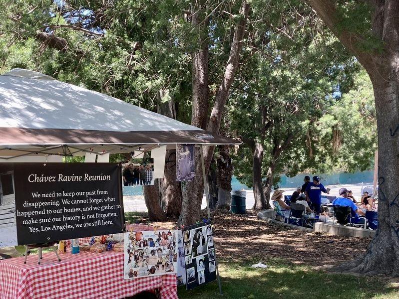 Los Desterrados Annual Picnic image. Click for full size.