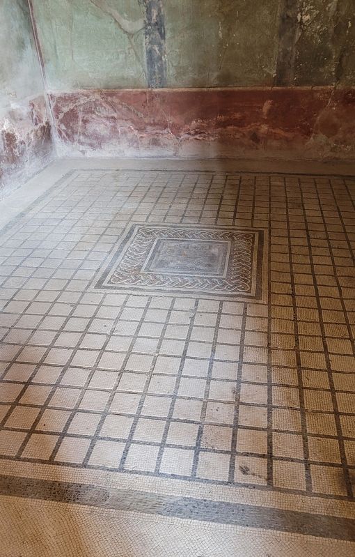 The mosaic floor behind the marker at the House of Menander image. Click for full size.