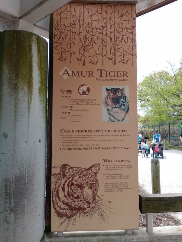 Amur Tiger Marker image. Click for full size.