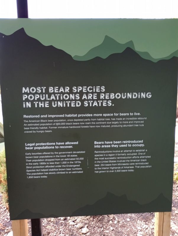 Most Bear Species Populations Are Rebounding In The United States Marker. Click for full size. Most Bear Species Populations Are Rebounding In The United States Marker image. Click for full size.