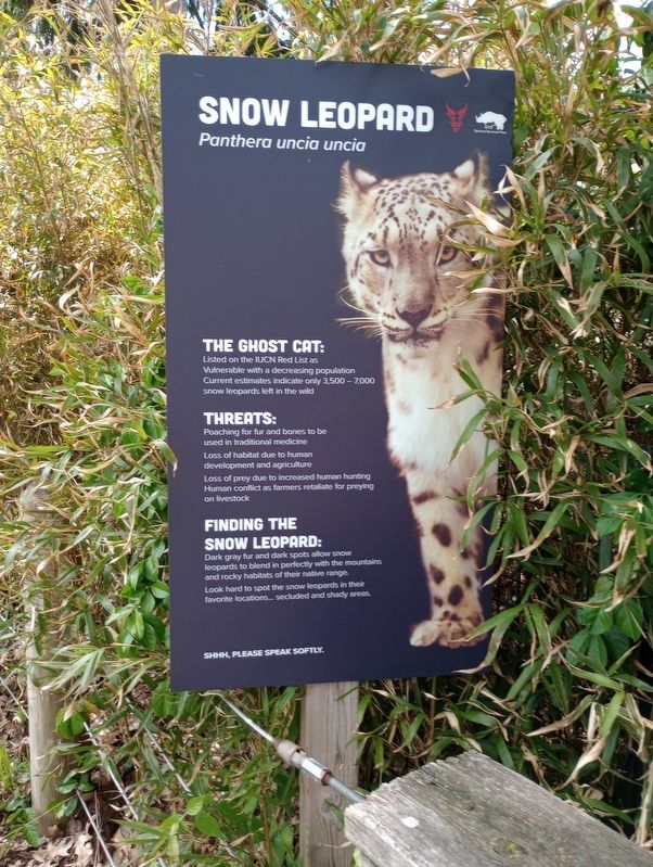 Snow Leopard Marker image. Click for full size.