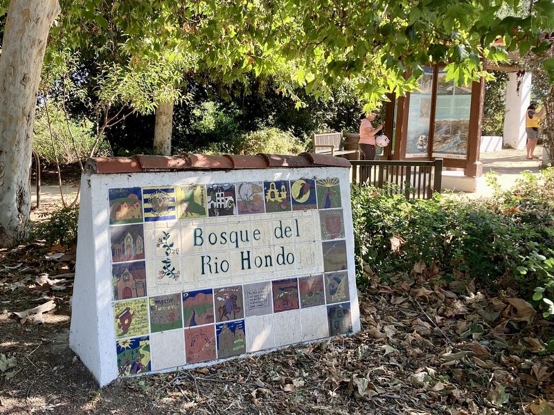 Bosque Del Rio Hondo image. Click for full size.