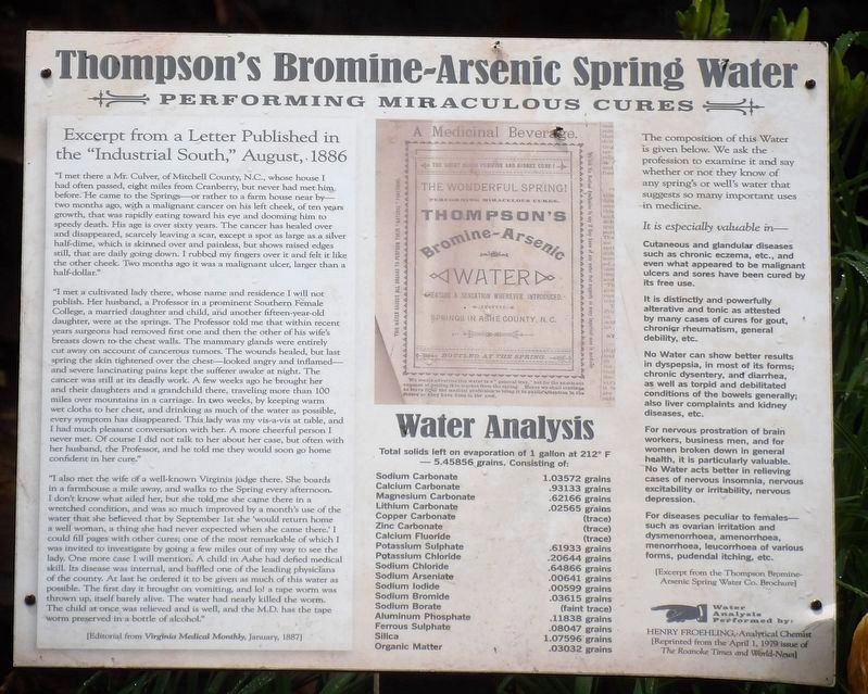 Ad for Thompson's Bromide Arsenic Spring Water image. Click for full size.
