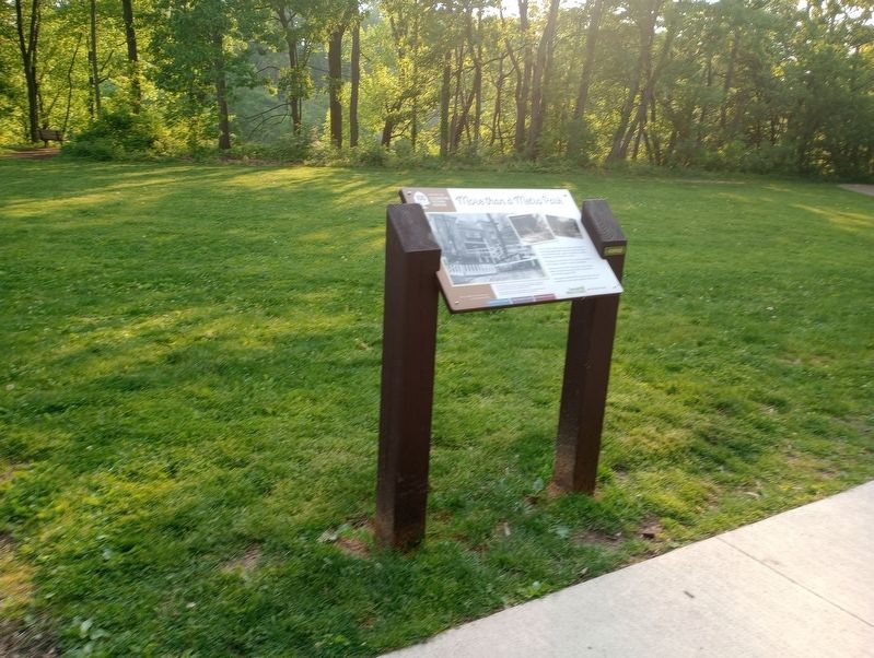 More than a Metro Park Marker, Side Two image. Click for full size.