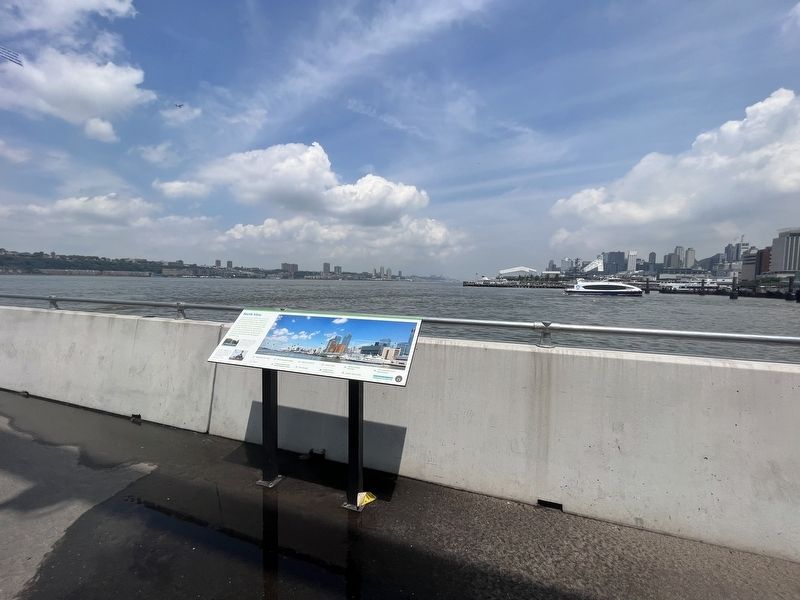North View Marker. Click for full size. North View Marker image. Click for full size.