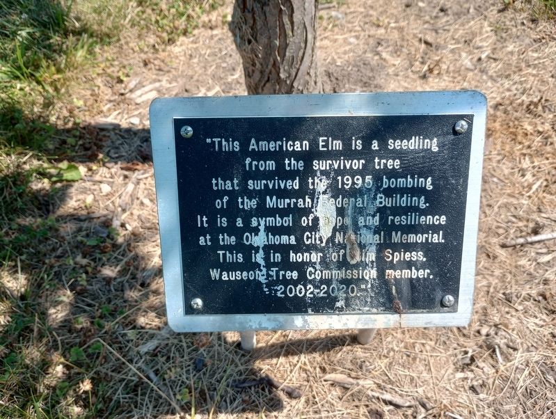 This American Elm Marker image. Click for full size.