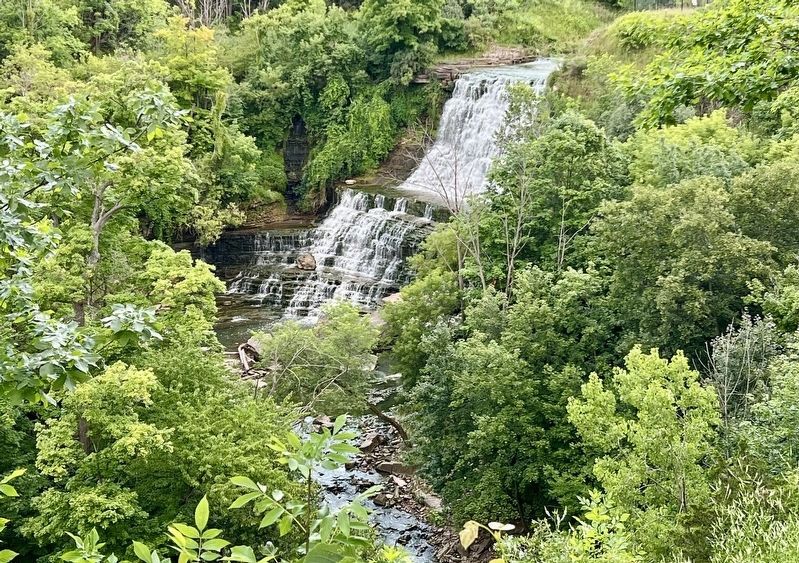 Albion Falls, 2023. Click for full size. Albion Falls, 2023 image. Click for full size.