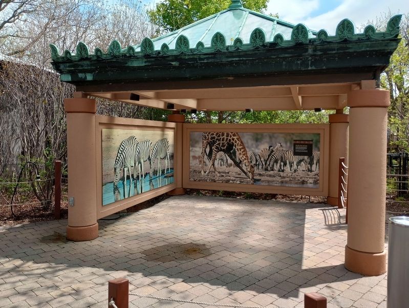 Giraffes then and now Marker. Click for full size. Giraffes then and now Marker image. Click for full size.