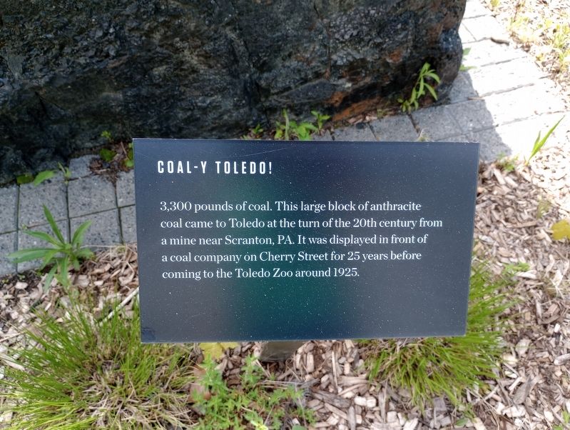 Coal-y Toledo! Marker. Click for full size. Coal-y Toledo! Marker image. Click for full size.