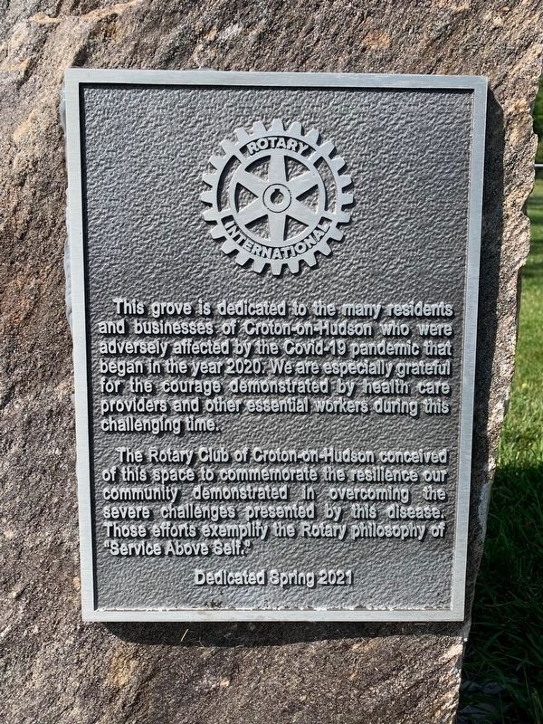 COVID-19 Grove Marker. Click for full size. COVID-19 Grove Marker image. Click for full size.