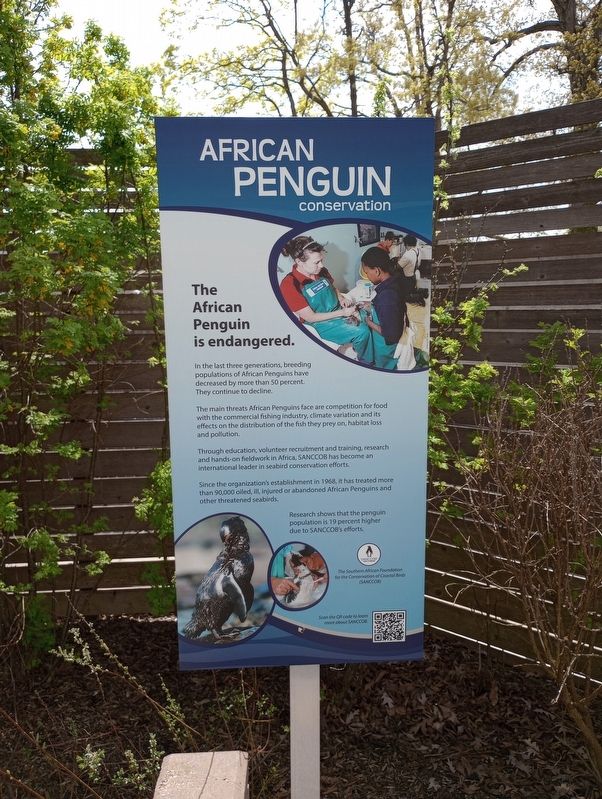 African Penguin Conservation Marker image. Click for full size.