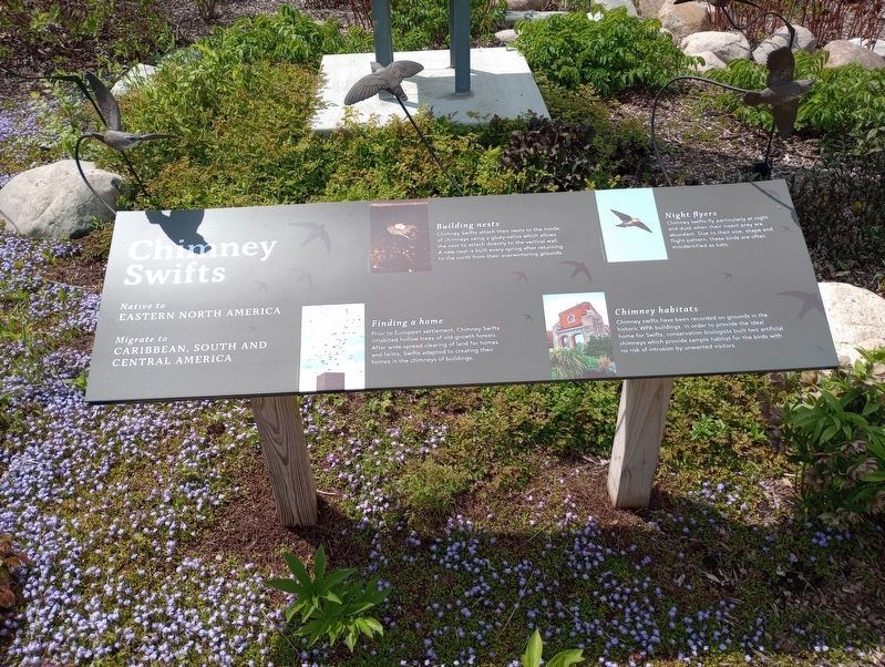 Chimney Swifts Marker. Click for full size. Chimney Swifts Marker image. Click for full size.