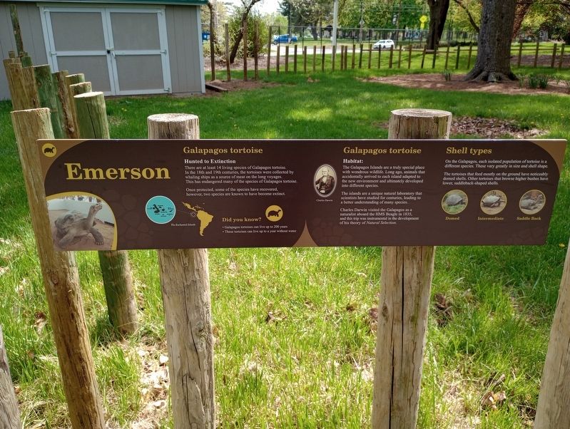 Emerson Marker image. Click for full size.
