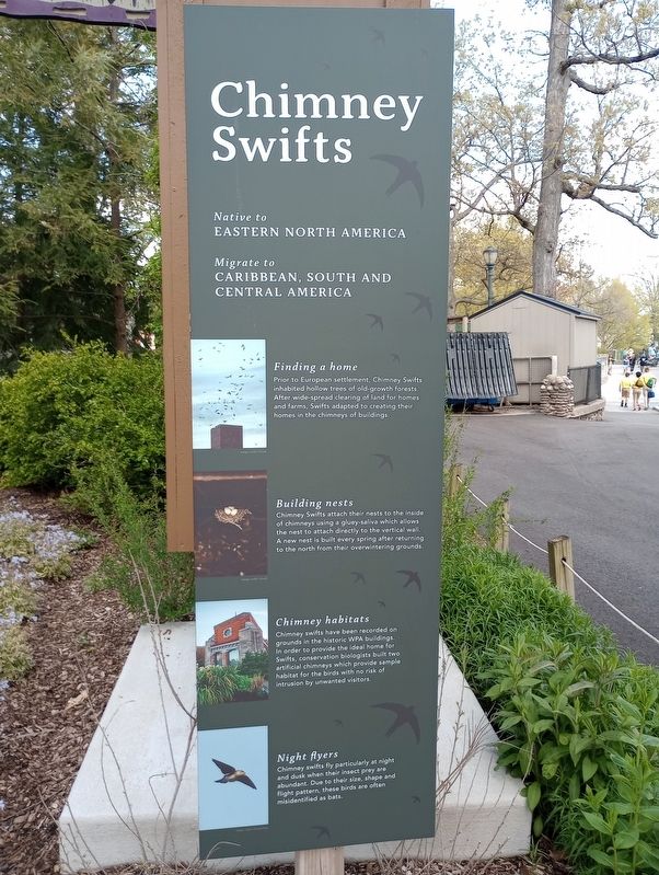 Chimney Swifts Marker image. Click for full size.