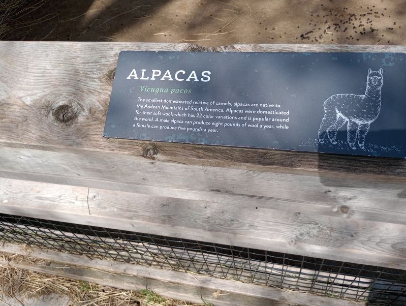 Alpacas Marker image. Click for full size.