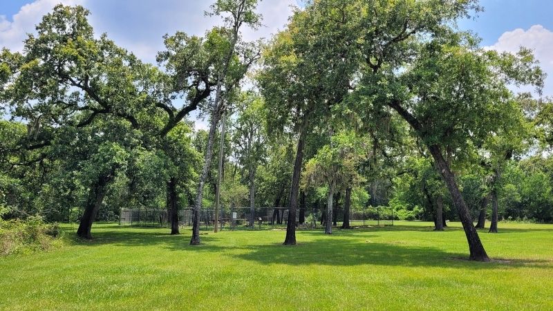 The view of the Koch-Schmidt Cemetery from the park road. Click for full size. The view of the Koch-Schmidt Cemetery from the park road image. Click for full size.