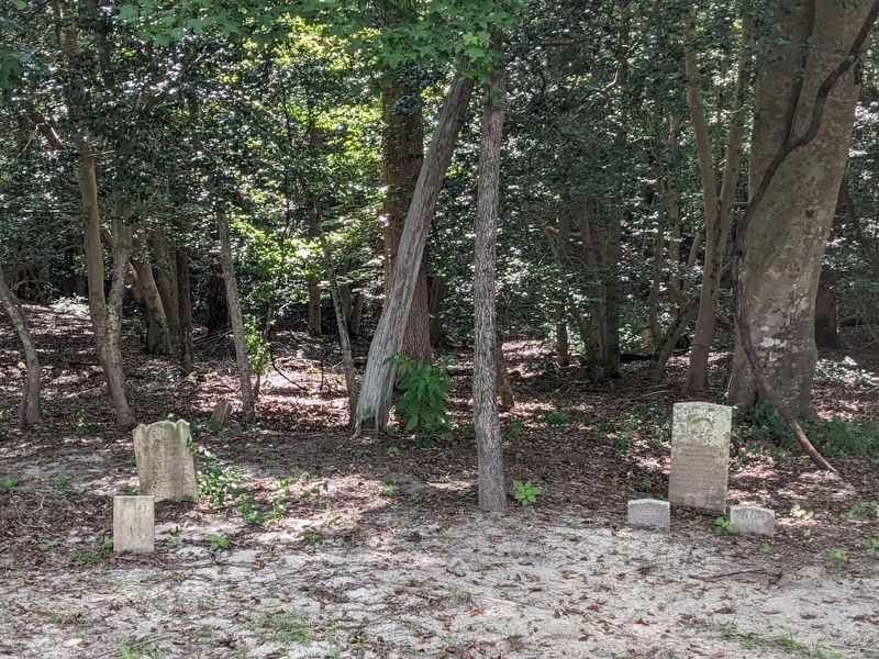 Shelton family cemetery image. Click for full size.
