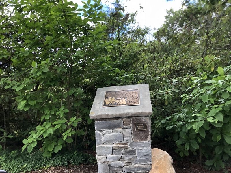 Mayview Park Marker image. Click for full size.
