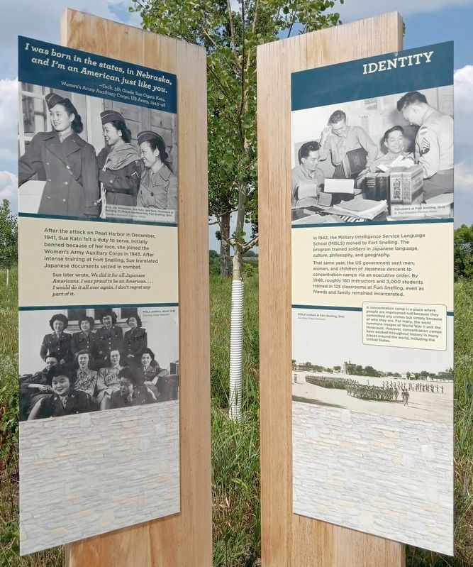 Identity Marker image. Click for full size.