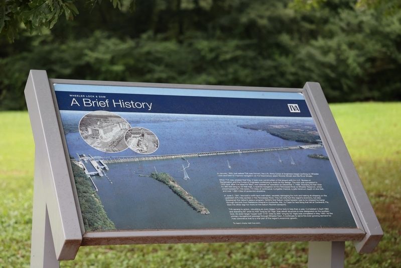 A Brief History Marker image. Click for full size.