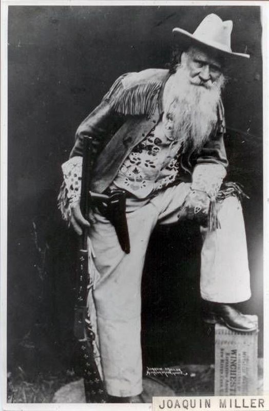 Cincinnatus "Joaquin" Miller image. Click for full size.