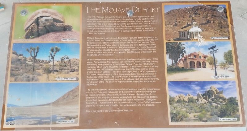 The Mojave Desert Marker image. Click for full size.