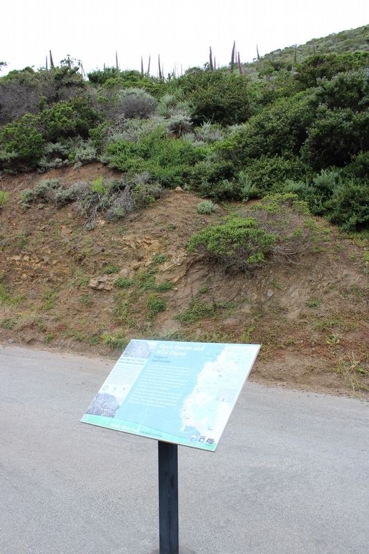 Open Spaces and Wild Places Marker image. Click for full size.