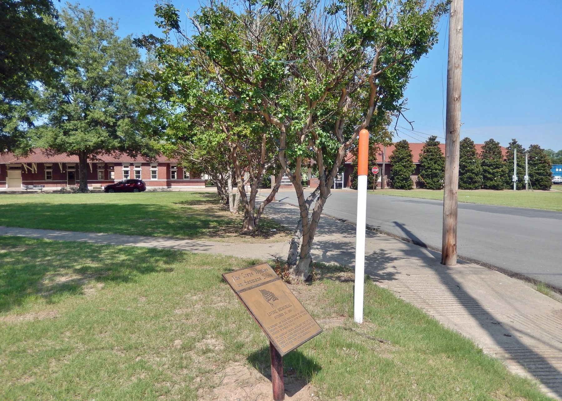The Crepe Myrtles on Seamans Drive Marker image. Click for full size.