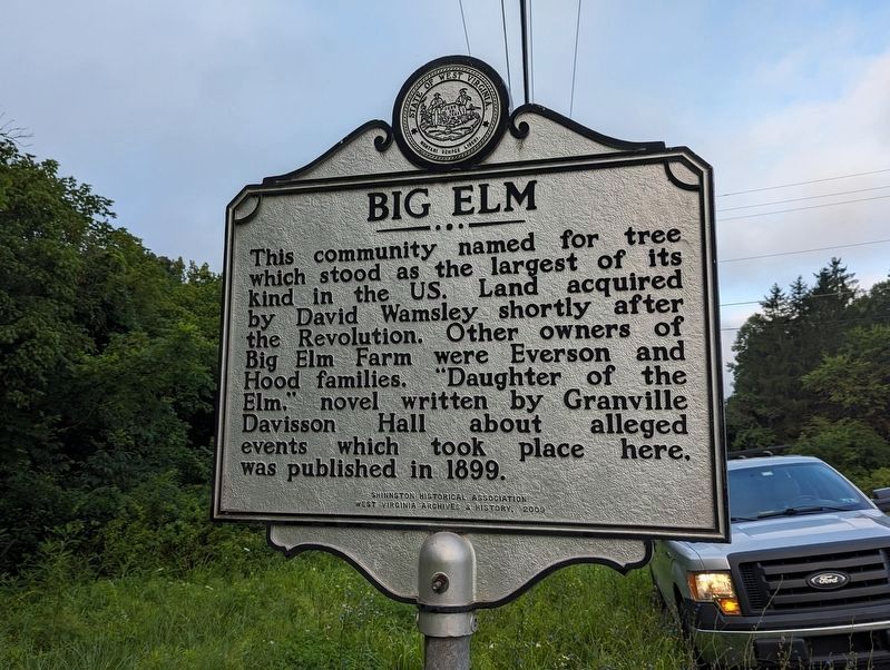 Big Elm Marker image. Click for full size.