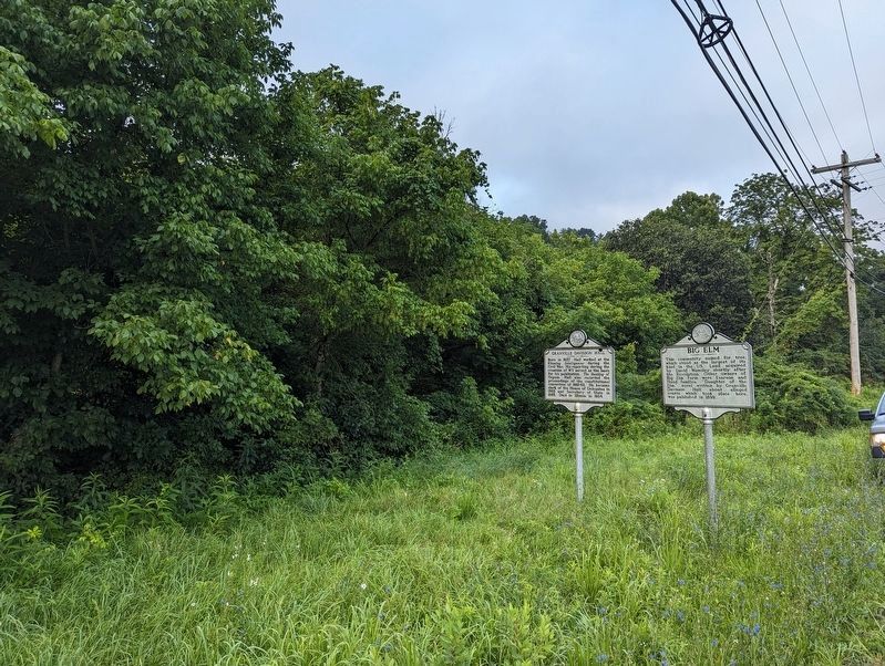 Big Elm Marker image. Click for full size.